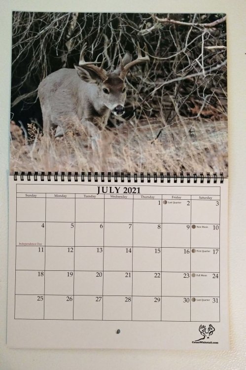 July-coues-calendar--w.jpg