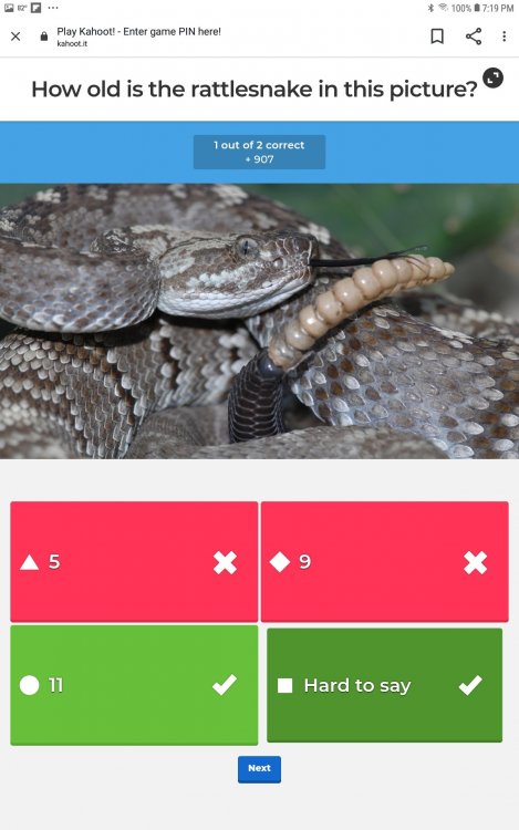 Rattlesnake.jpg