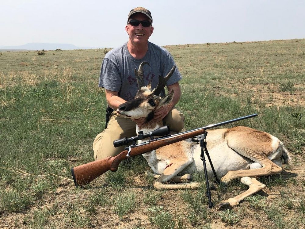 Pronghorn.jpg