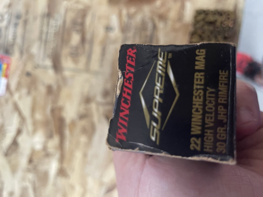 B7EAA1AB-4221-4C9D-BE69-8D741439B6EC.thumb.jpeg.d5835aa069ec9118ed781181f787cf55.jpeg