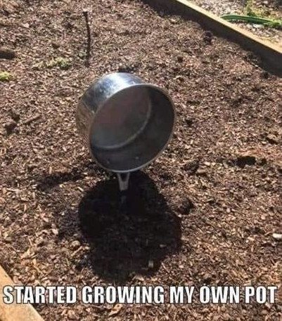 growpot.jpg.187b247d4f9863656986a447940b55c2.jpg