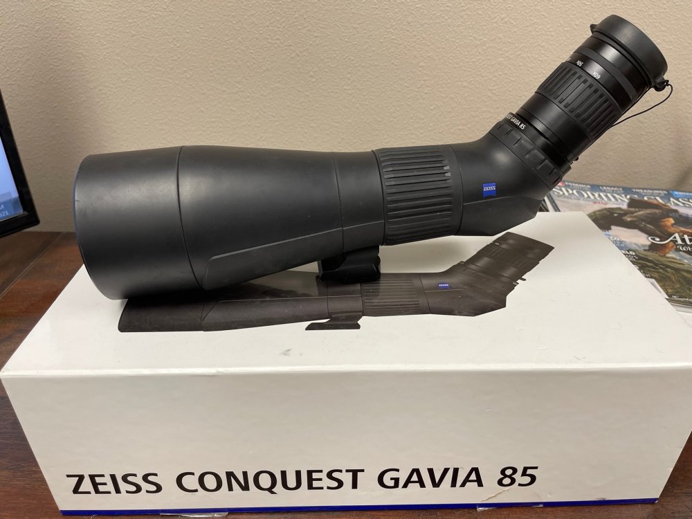 Zeiss Gavia 85.jpg