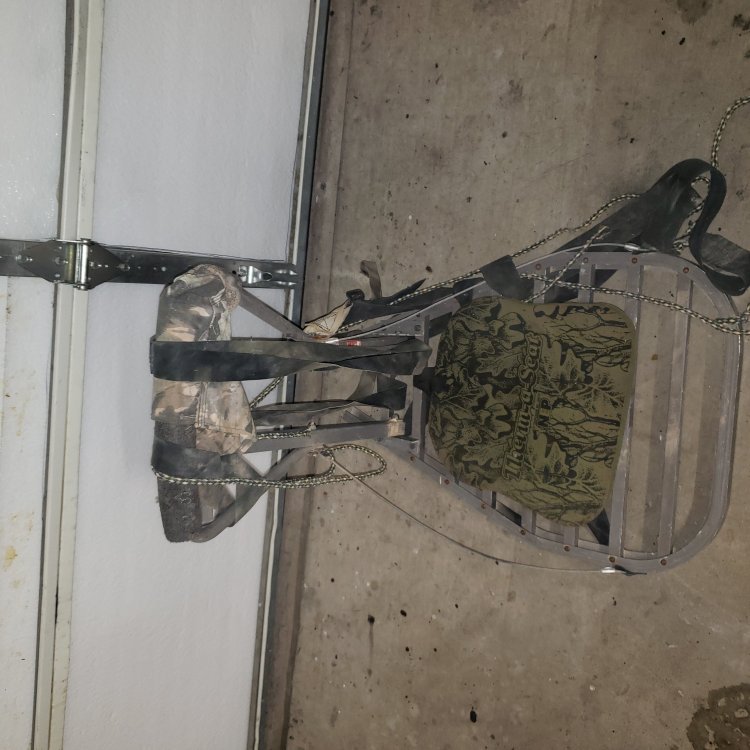 treestand3.jpg