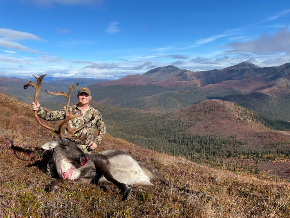 Christian Caribou on Mountain.jpg