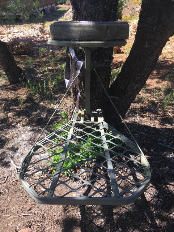 hawk tree stand 3.jpg