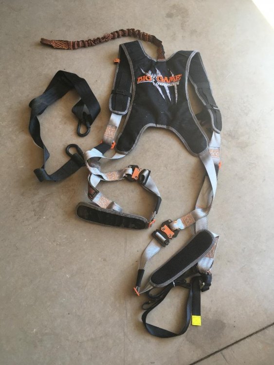 big game harness 2.jpg