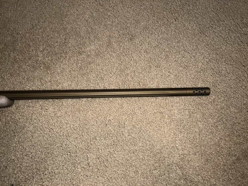 X Bolt 3.jpg