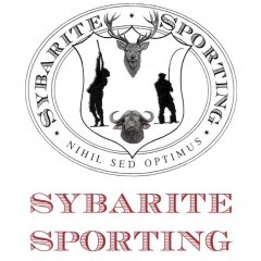Sybarite Sporting