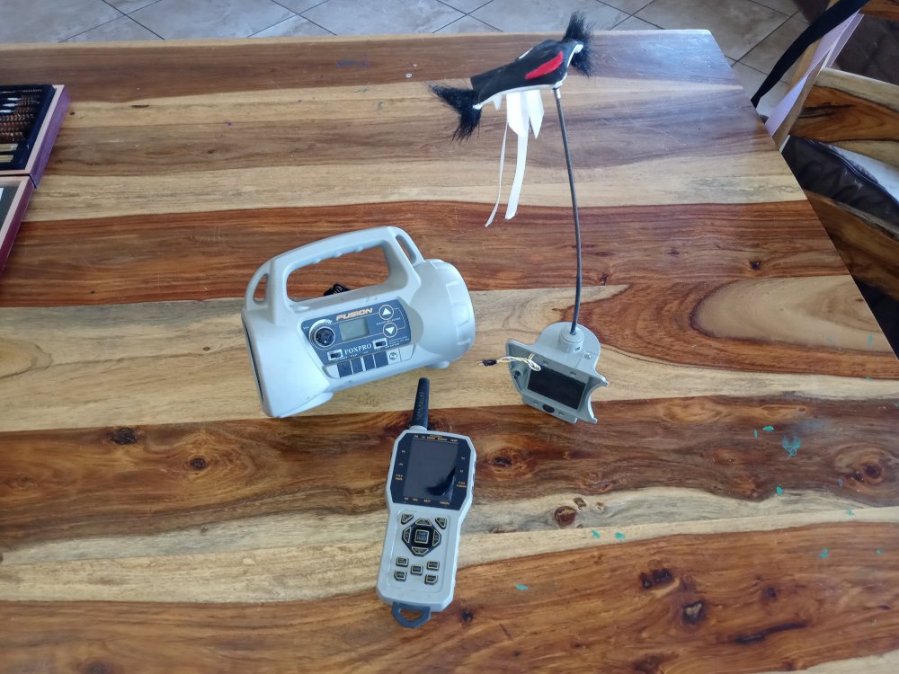 20220614_113205.thumb.jpg.08a8977510e0d503f9061bb87ff9c33f.jpg