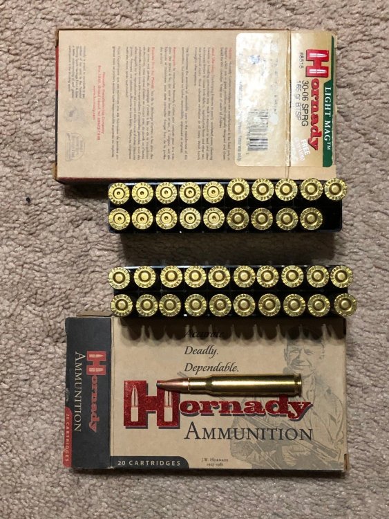 30-06 165gr Horn LTMag.jpg