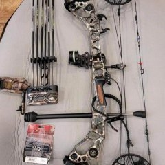 Bow and arrow for sale