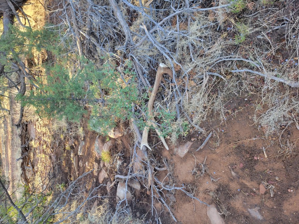 20220625_060342.jpg