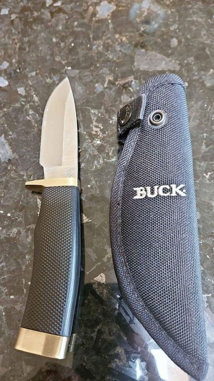BUCK1.jpg