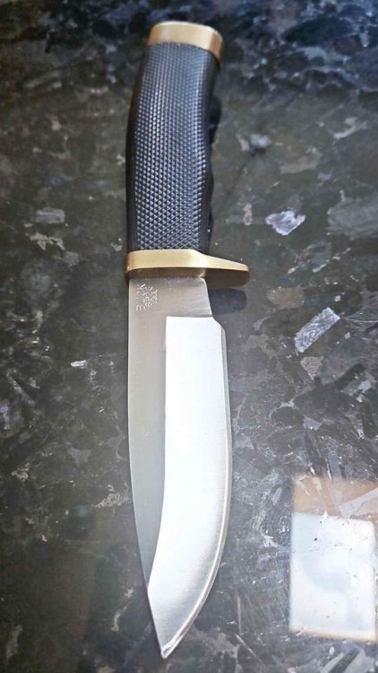 BUCK5.jpg