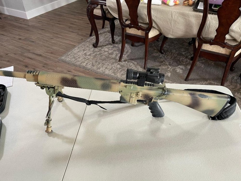 AR Camo 2.jpg