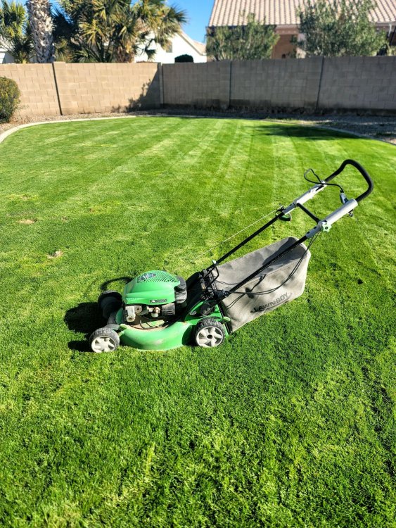 mower.jpeg