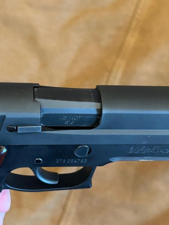 P220-Chamber.jpg