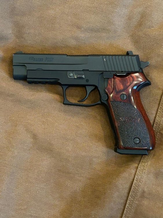 P220-L.jpg