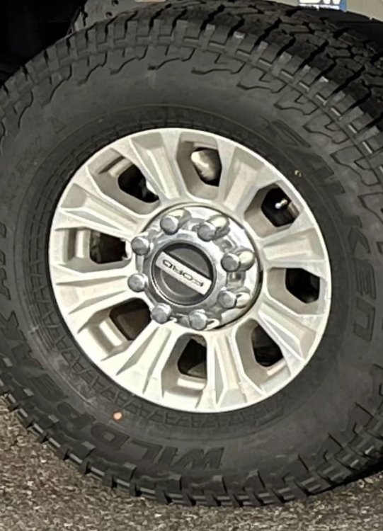 IMG_4120.jpeg