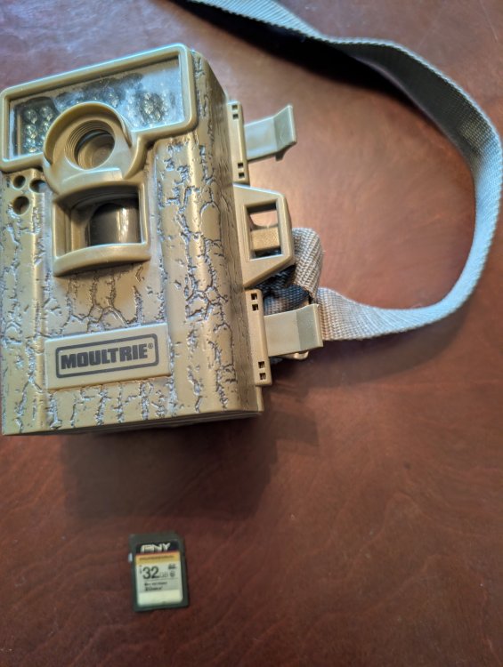 Moultrie_M-880_Plus.jpg