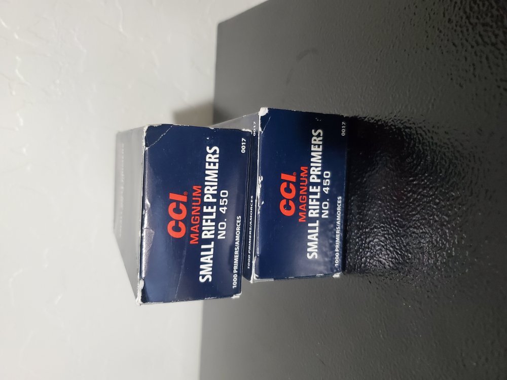 20250308_173249.thumb.jpg.20eb758b657a7af5953390f56829c26d.jpg