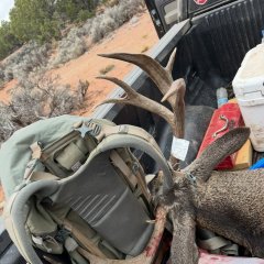 Bowhunt19