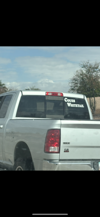 IMG_1068.png