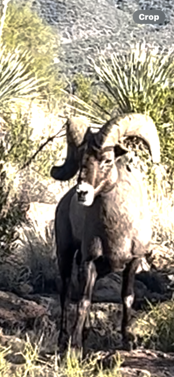 IMG_6890.png