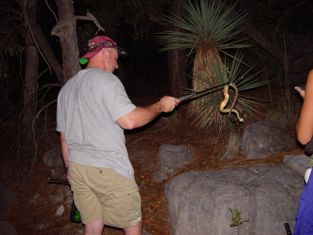 620120825_BJWandChir_Natl_Monmolossus.thumb.JPG.d065075aac6d7818cf1fcc1bbadfb7ff.JPG