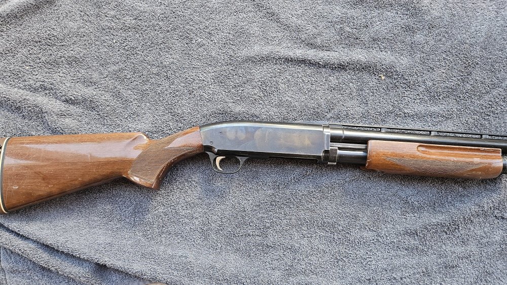 BPS002.jpg