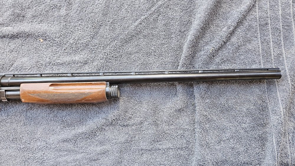 BPS003.jpg