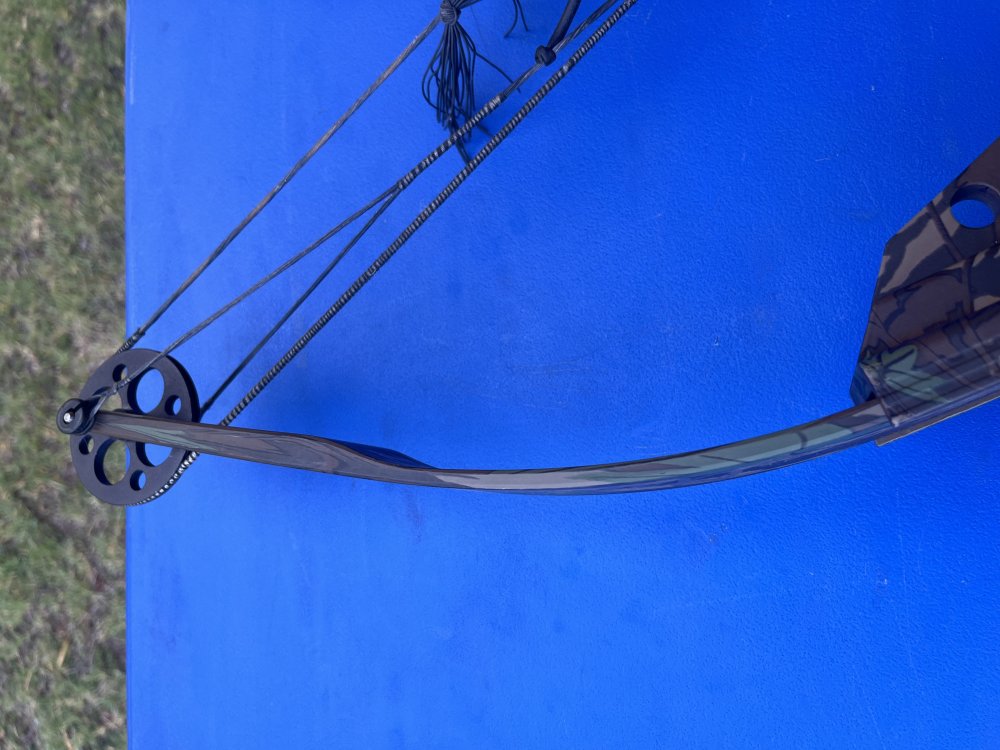 IMG_3102.jpeg