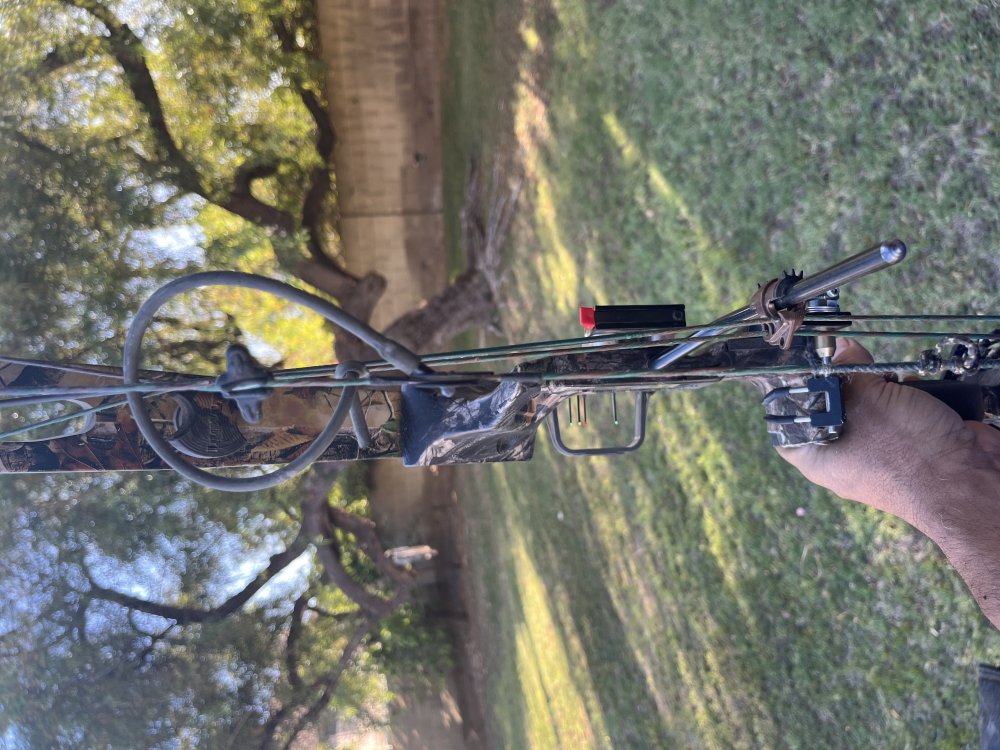 IMG_3114.jpeg