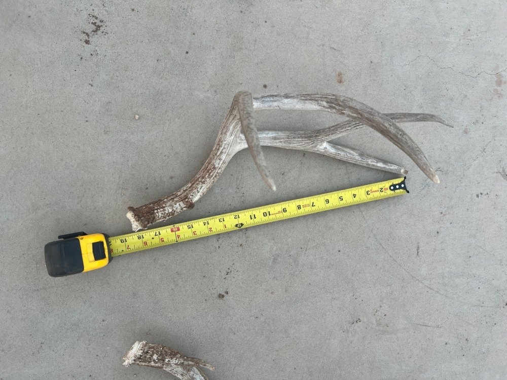 muley shed with dim.jpg