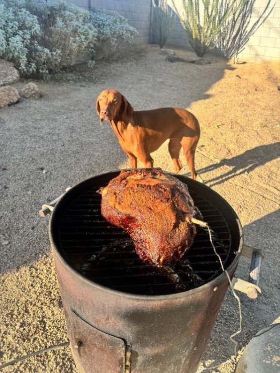 pork butt.jpg