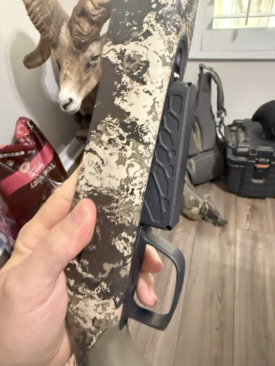 tikka stock  bottom metal and mag.jpg