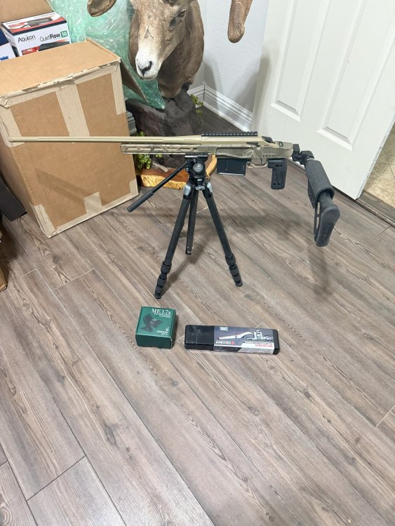 7mm.jpg