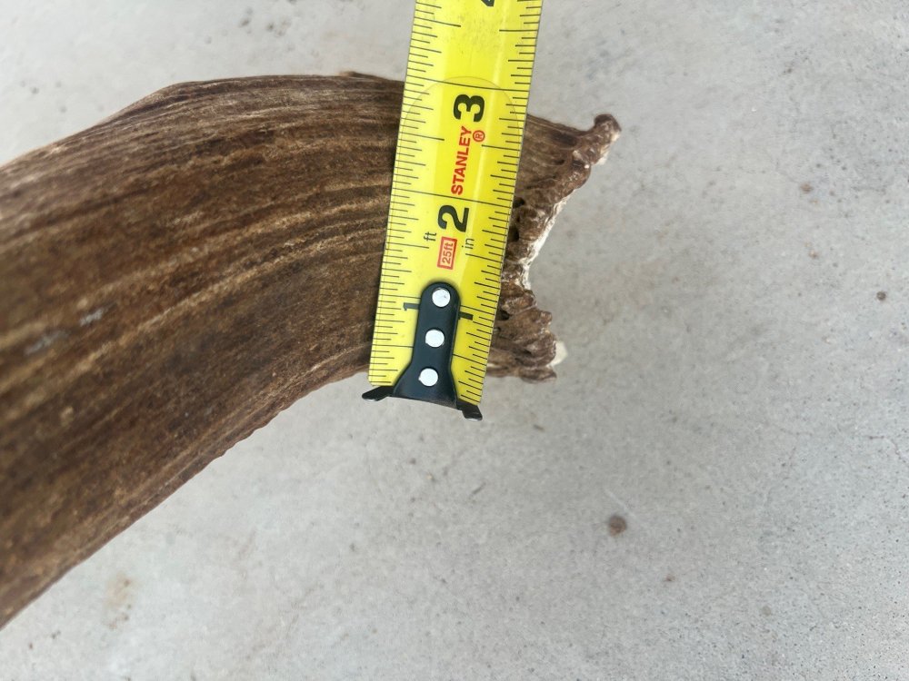 elk shed base.jpg