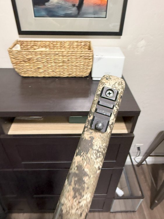 Tikka stock widelane fprarm pict.jpg