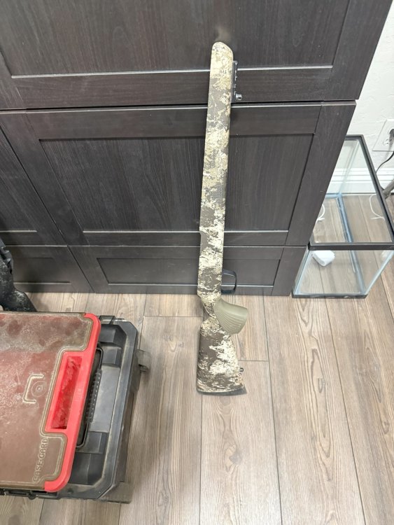 Tikka_stock_vert.jpg