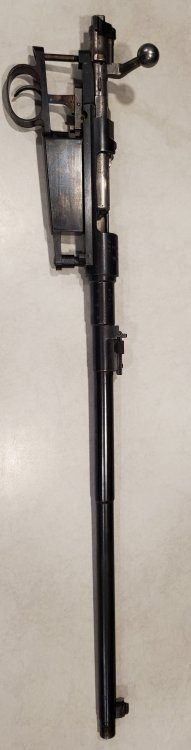 20250830_202242.jpg