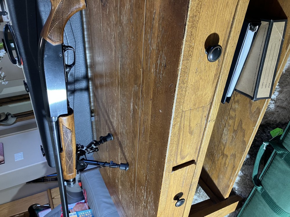 IMG_1817.jpeg