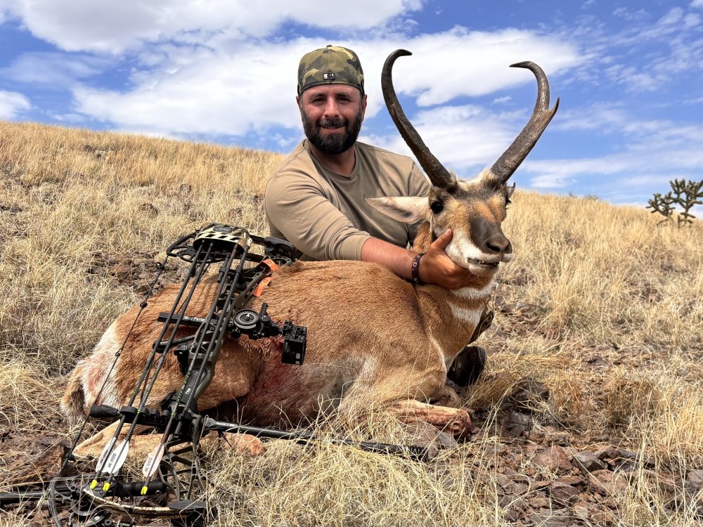 antelope.jpg
