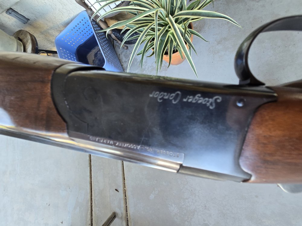 stoeger_20_1.jpg