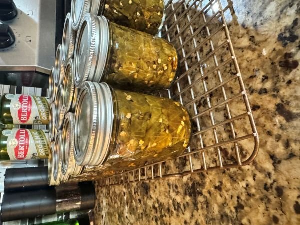 1024029669_greenchilis.jpg.06aa95f2726893f85bf5b6197051d380.jpg