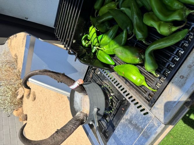 1992428812_grillingchilis2.jpg.6e139402249a4f05789e09d4744ce0e6.jpg