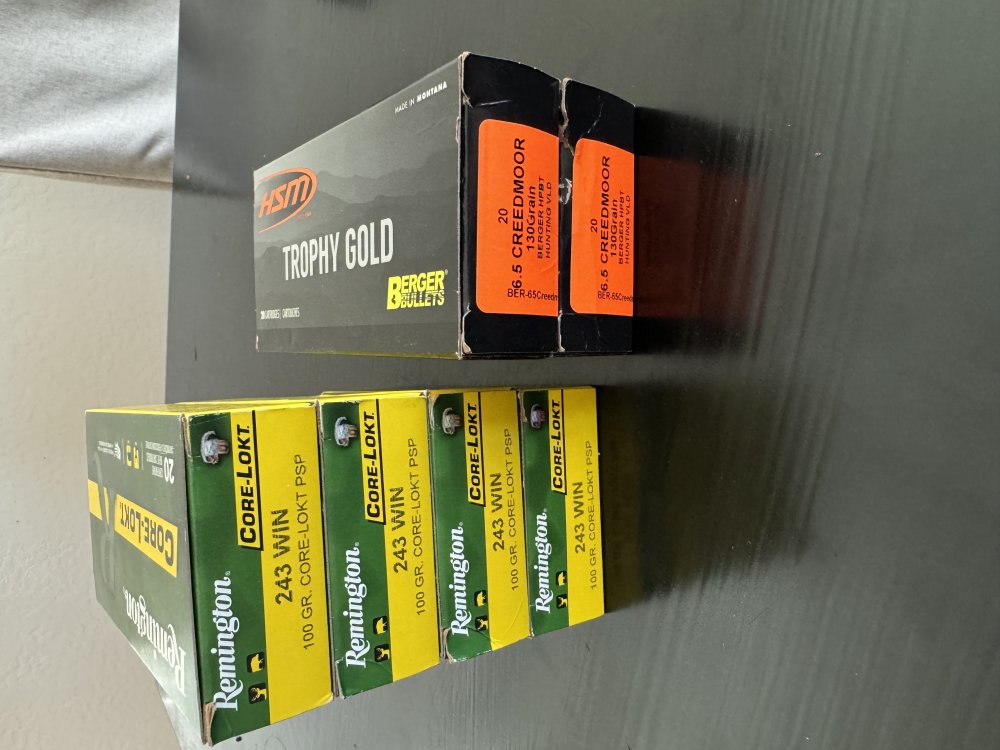 IMG_4960.jpeg