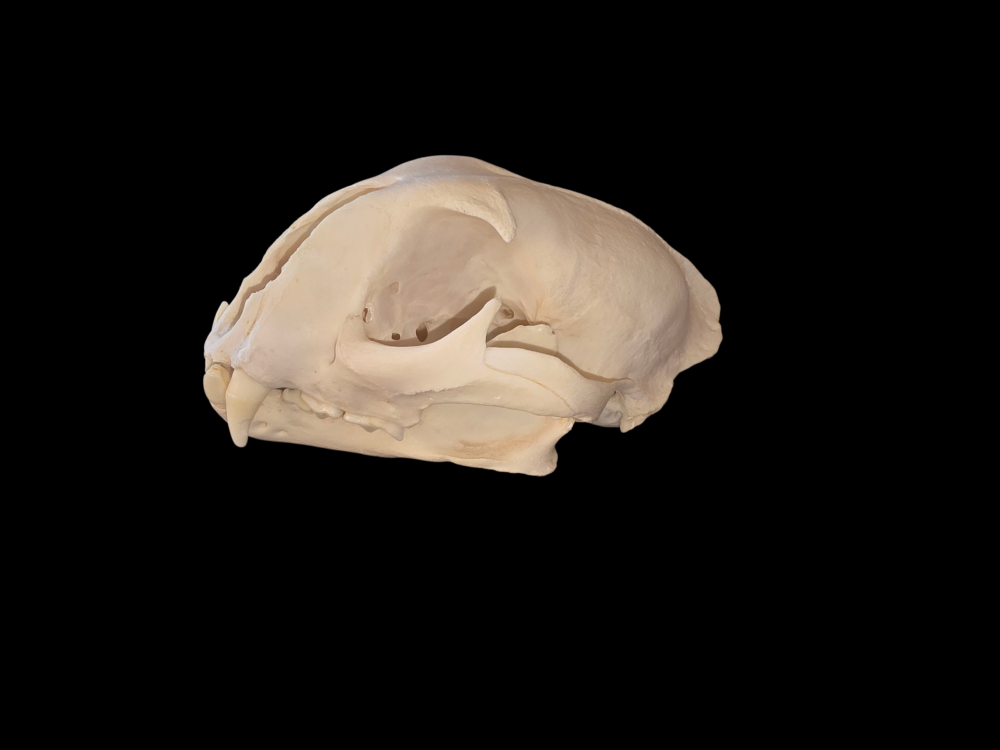 20251025_074456 (2).png