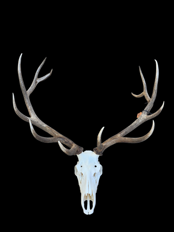 20251031_152252 (1).png