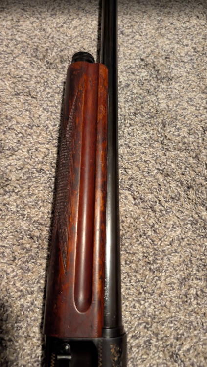 Screenshot 2026-02-17 094850.png